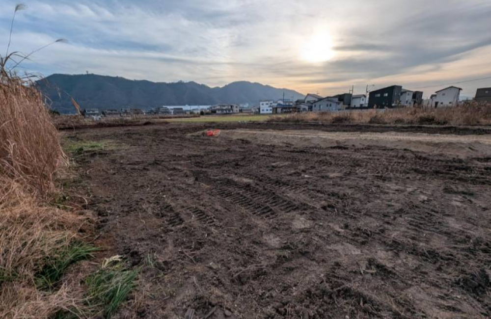 草・生木撤去工事